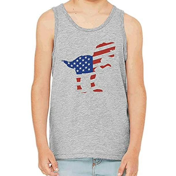 7 ate 9 Apparel Kids 4th of July Flag Dinosaur Dino Grey Tank Top 7 ate 9 Apparel Kids 4th of July Flag Dinosaur Dino Grey Tank Top